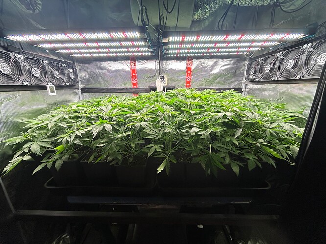 Growreport Bild 10