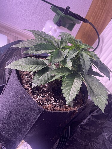 Growreport Bild 9