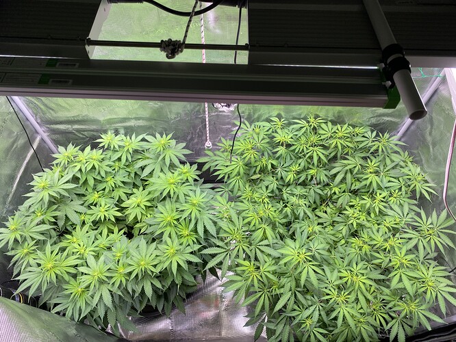 Growreport Bild 17
