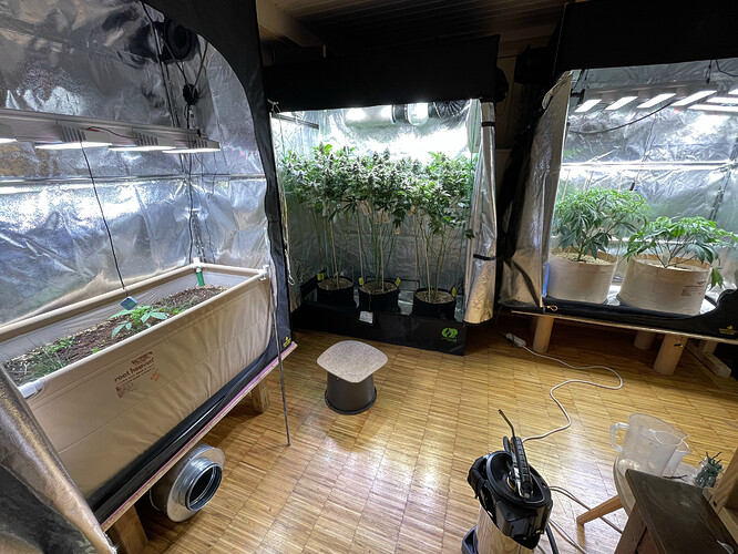 Growreport Bild 10