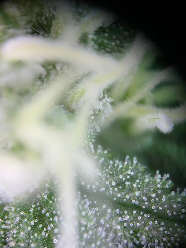 Growreport Bild 16