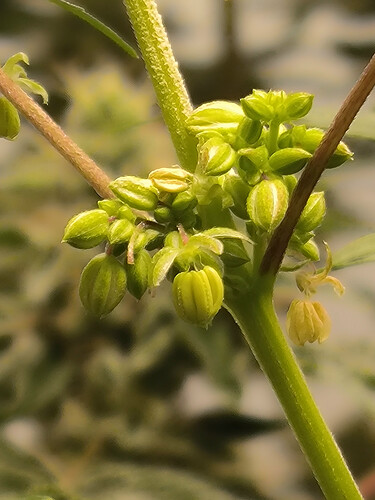 Growreport Bild 4