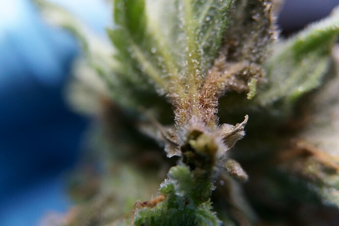 2_Umstellung51_Verdacht (5)