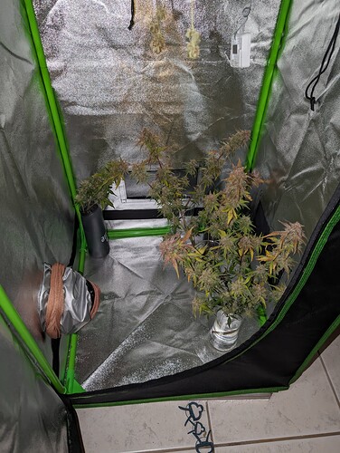 Growreport Bild 8