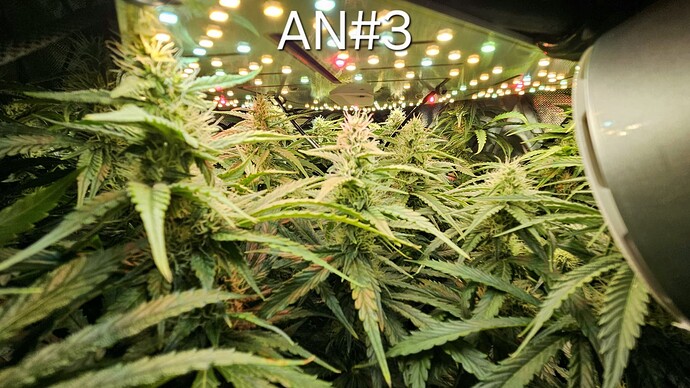 Growreport Bild 24