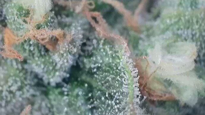 2024-10-03-205353688