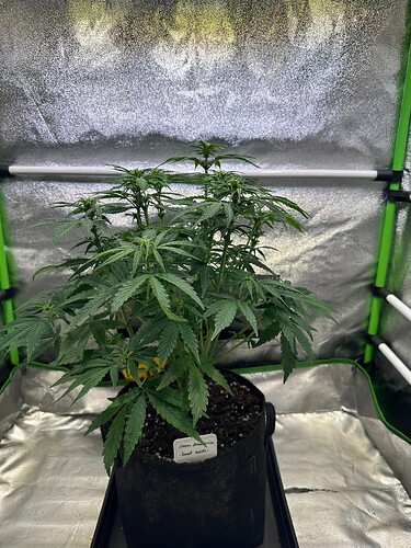 Growreport Bild 9