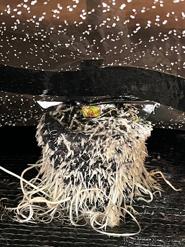 Growreport Bild 13