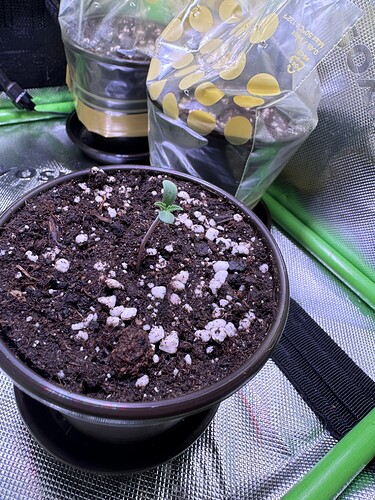 Growreport Bild 10