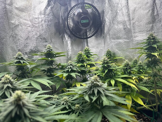 Growreport Bild 19