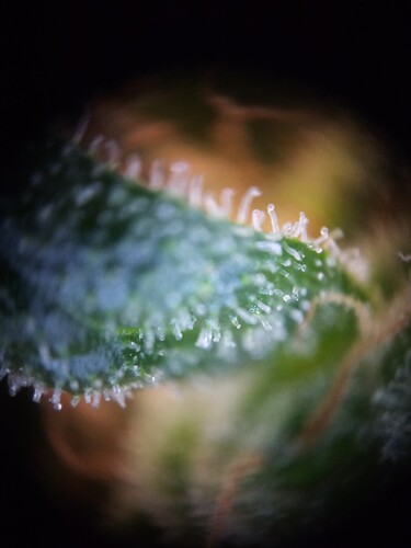 Growreport Bild 30