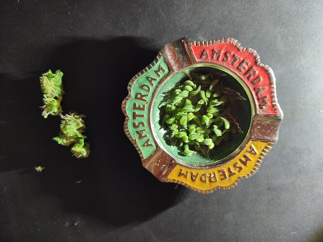 Growreport Bild 4