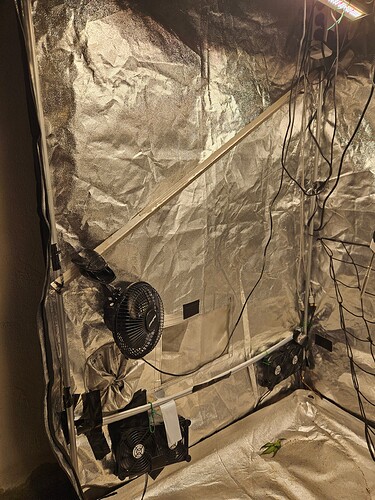 Growreport Bild 7