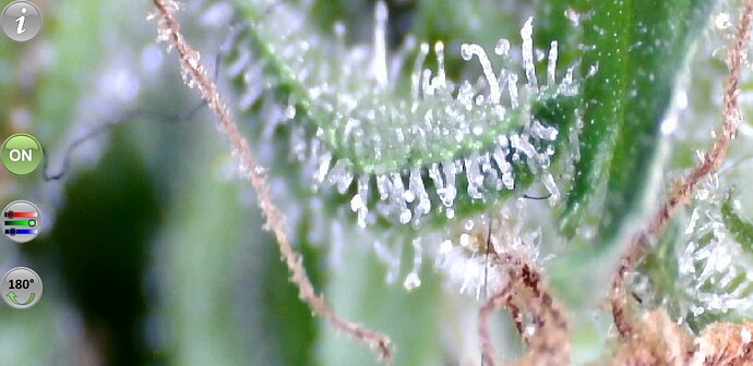 Growreport Bild 15