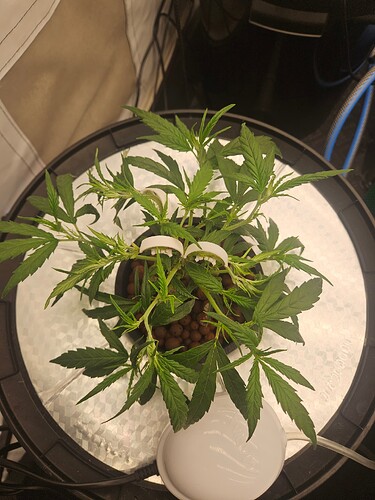 Growreport Bild 6