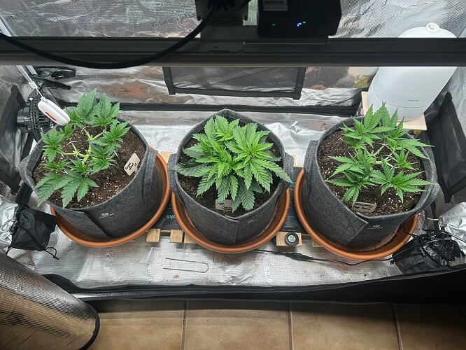 Growreport Bild 15