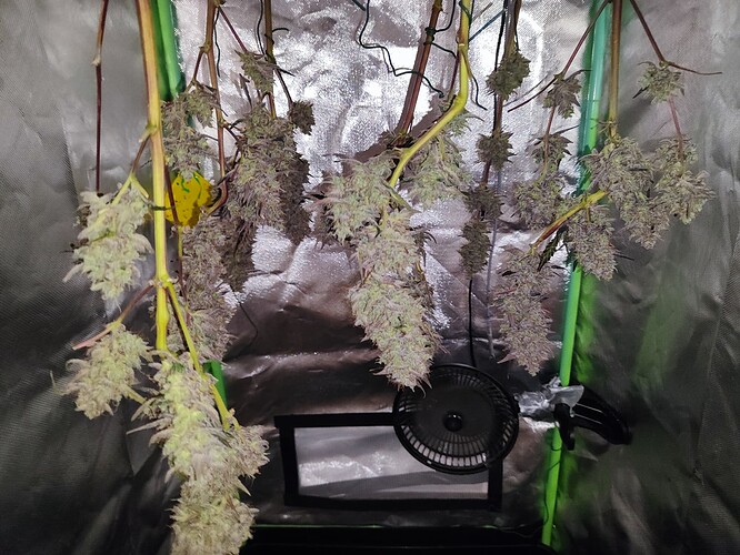 Growreport Bild 1