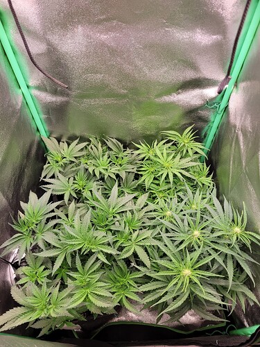Growreport Bild 14