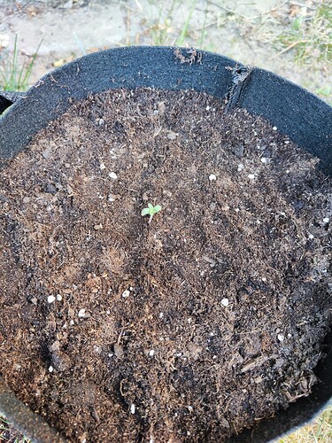 Growreport Bild 26