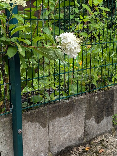 Growreport Bild 12