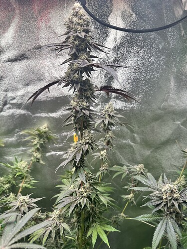 Growreport Bild 10