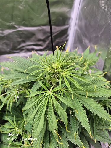Growreport Bild 16