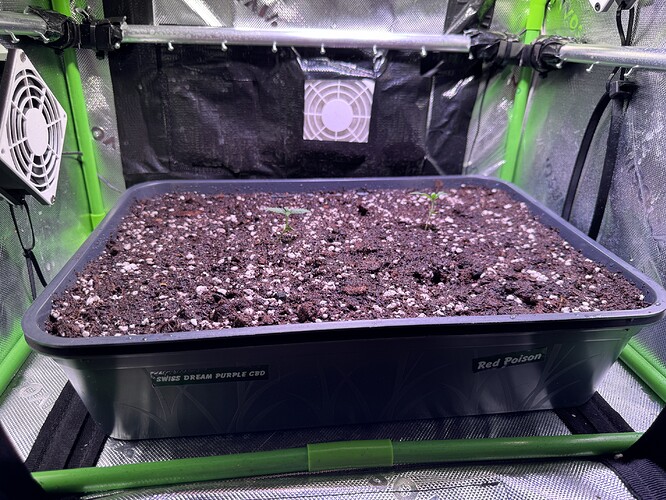 Growreport Bild 10