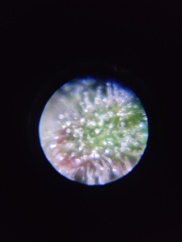 Growreport Bild 24
