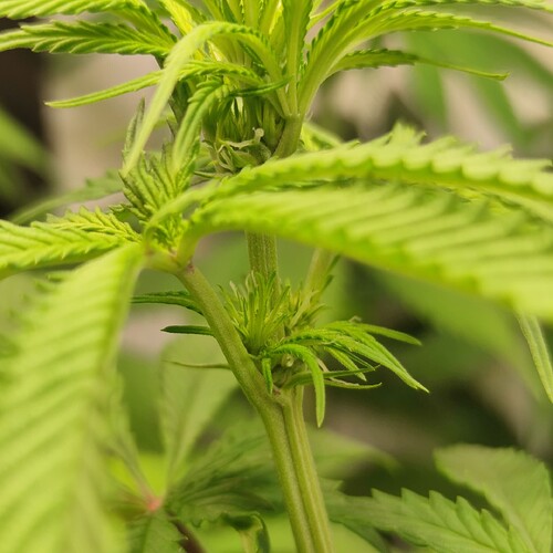 Growreport Bild 22