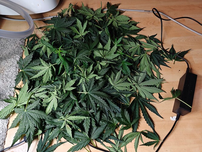 Growreport Bild 7