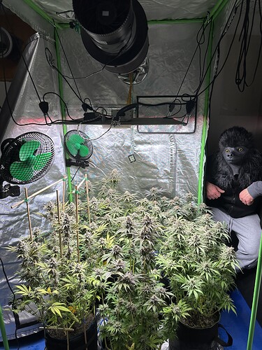Growreport Bild 2
