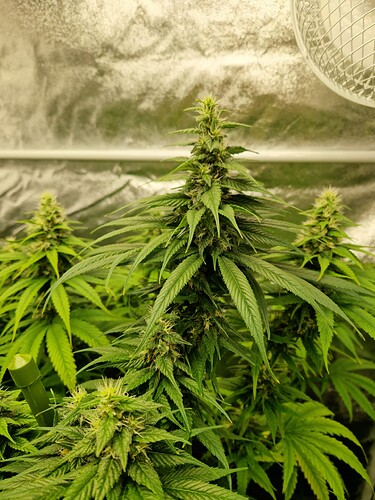 Growreport Bild 10