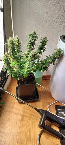 Growreport Bild 8