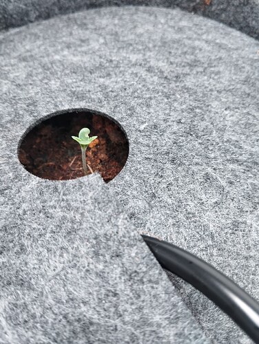 Growreport Bild 13