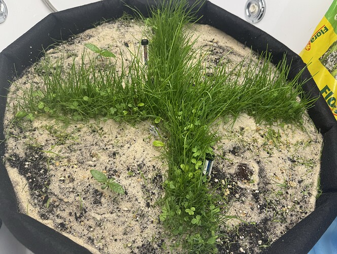 Growreport Bild 12