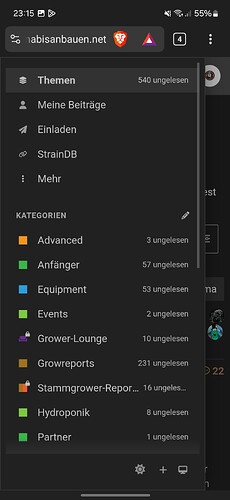 Screenshot_20250403_231522_Brave