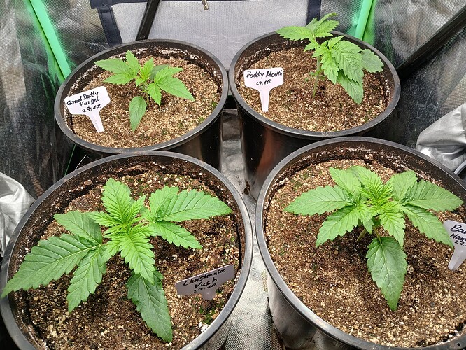 Growreport Bild 14
