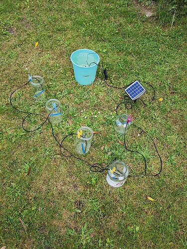 Growreport Bild 2