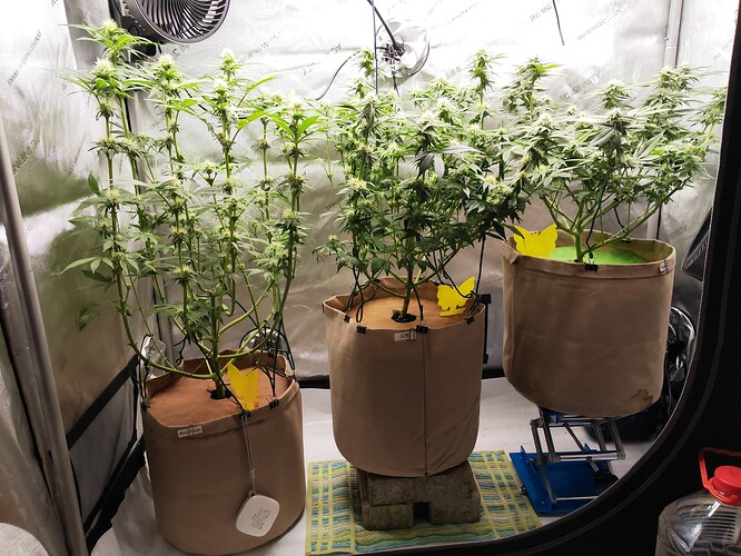 Growreport Bild 15