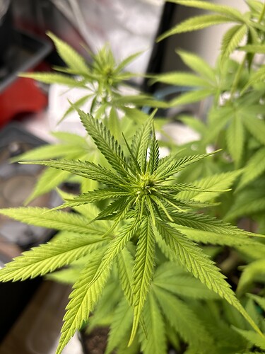 Growreport Bild 4