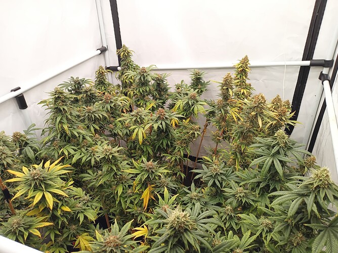 Growreport Bild 17