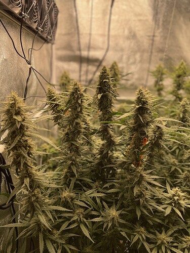 Growreport Bild 15