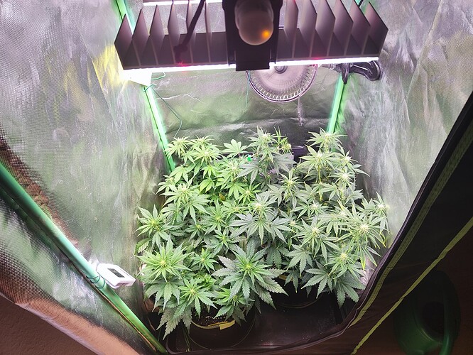 Growreport Bild 11
