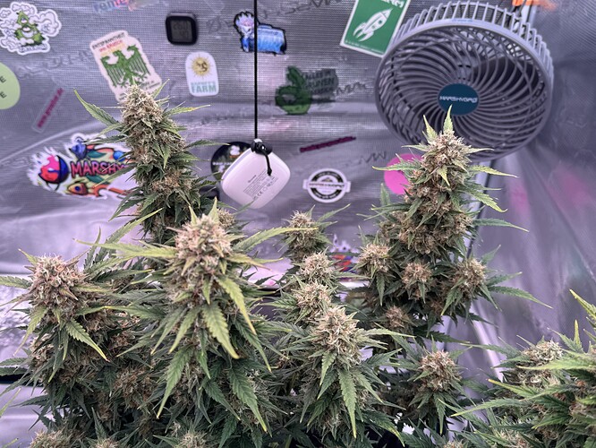 Growreport Bild 14