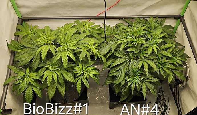 Growreport Bild 16