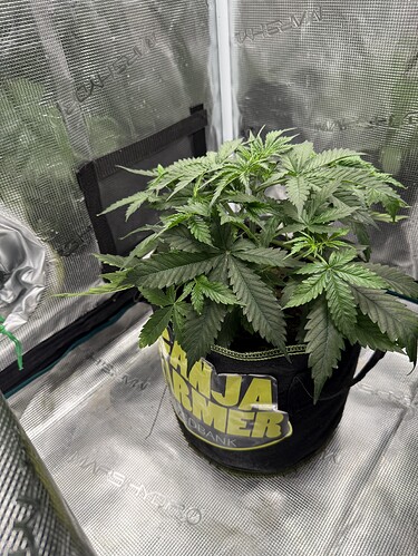 Growreport Bild 5