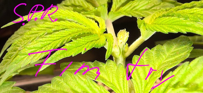 Growreport Bild 10