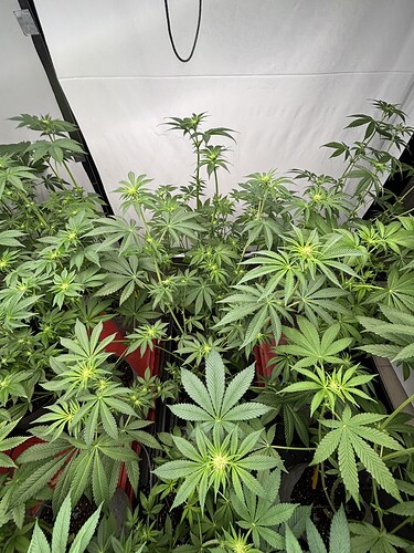 Growreport Bild 12