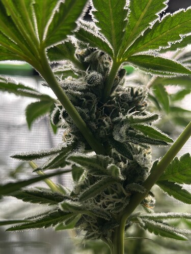 Growreport Bild 10