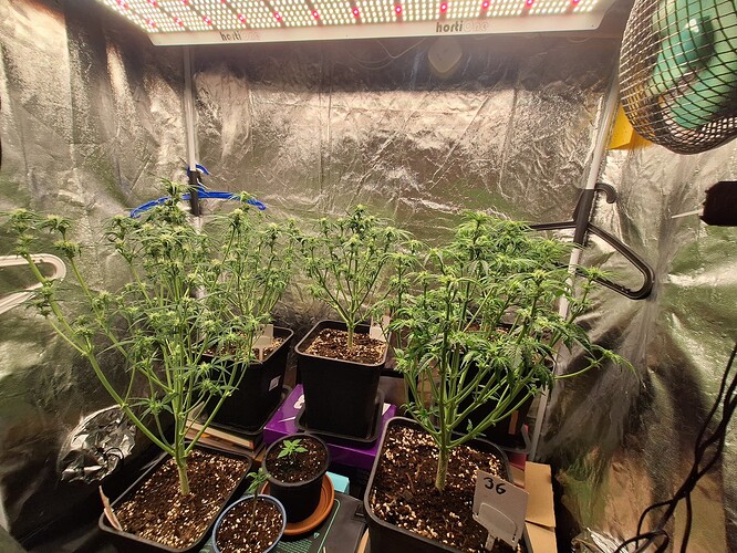 Growreport Bild 13